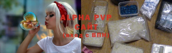шишки Беломорск
