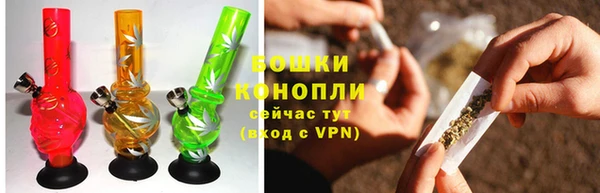 гашик Белоозёрский