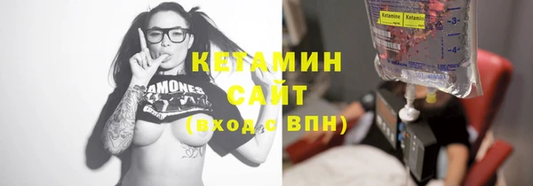 шишки Беломорск