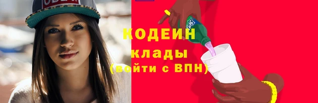 шишки Беломорск