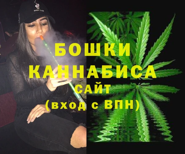прущие крисы Белокуриха