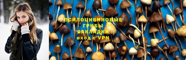 прущие крисы Белокуриха